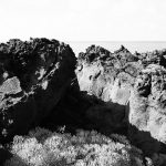 Ткань Dedar Luchino 001 domino, фото 3