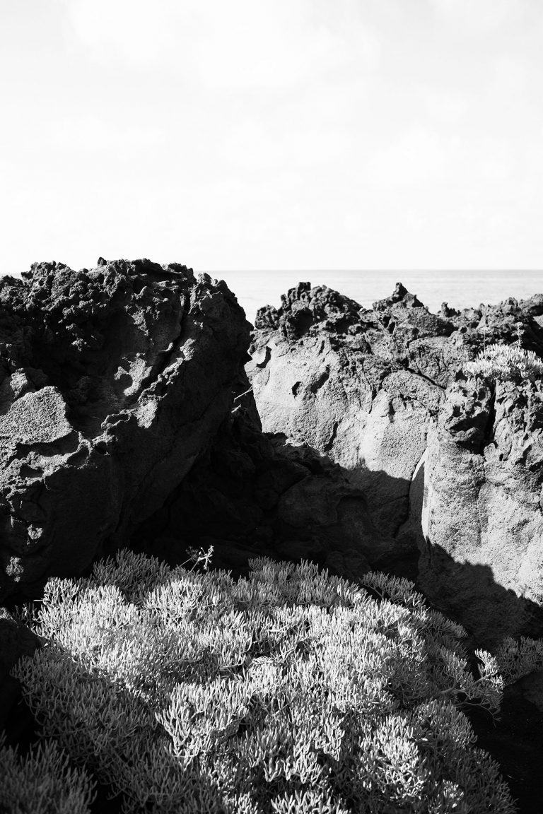 Ткань Dedar Luchino 001 domino, фото 3