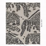 Ткань — Dedar — Tiger Mountain — 001 graphite — 00T1801500001
