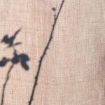 Ткань Dedar Wide Linen Sauternes 005 rose poudré, фото 2