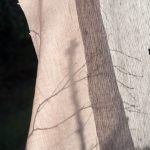 Ткань Dedar Wide Linen Sauternes 005 rose poudré, фото 3