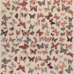 Ковёр ручной работы (Пакистан), шерсть BUTTERFLY (ORITOP GmbH)  - 255x301x4 (BUTF_R_-(255X301))