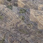 Ковёр из шерсти Бельгия OREA (OSTA CARPETS NV)