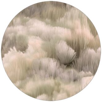 Ковёр - Beetle Dunes Round pampas - MOOOI - 350 x 350