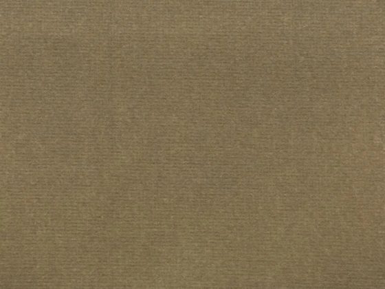 Ткань - Pierre Frey - Opera - velours - F2754021 - Kaki