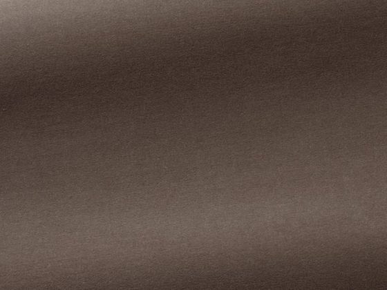 Ткань - Pierre Frey - Medium - F3211005 - Taupe