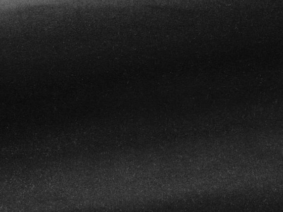 Ткань - Pierre Frey - Medium - F3211006 - Simple Black