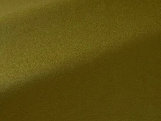 Ткань - Pierre Frey - Dune - F3926002 - Olive