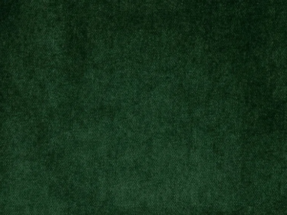 Ткань - Pierre Frey - Enzo - I6478014 - Verde