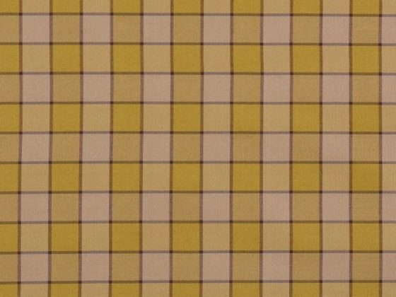 Ткань - Pierre Frey - Bruyeres - L4556004 - Jaune