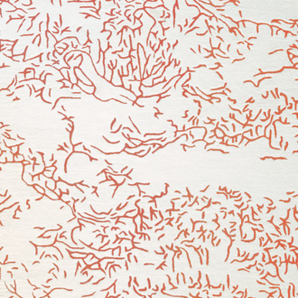 Ковёр - Toulemonde Bochart - Nature Corail - 200 x 300
