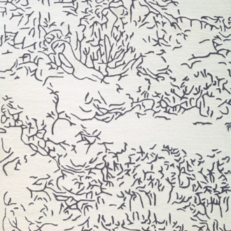 Ковёр - Toulemonde Bochart - Nature Negatif - 200 x 300
