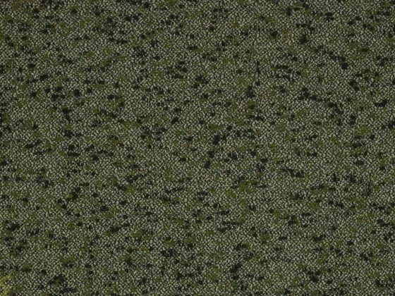 Ткань - Pierre Frey - Woodstock - O7957011 - Olive