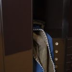 Ткань — Dedar — Aoxomoxoa — 009 iroko — 00T2502200009