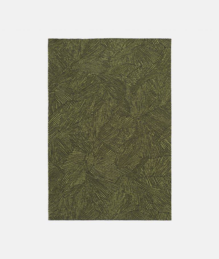 Ткань Dedar In Folio 001 libellula