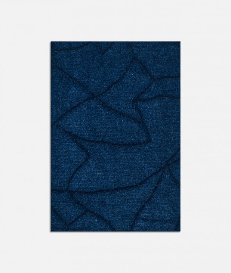 Ткань Dedar Script 004 notte