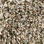 Ковёр Spring Moss 059137 — Brink & Campman