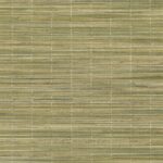 Обои - Dedar - Bambu' Strie' Wall Clorofilla - 01D2200300001