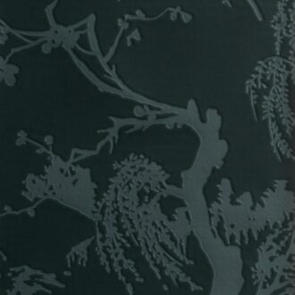 Обои - Dedar - À Contre-jour Wall réglisse - 02D2080100010