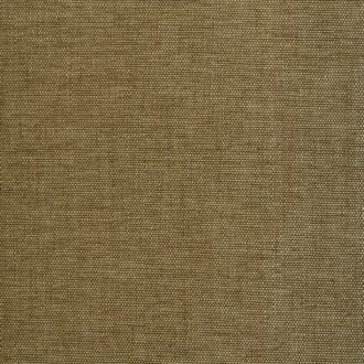 Обои - Dedar - Didgeridoo Wall Giunco - 02D2300200004