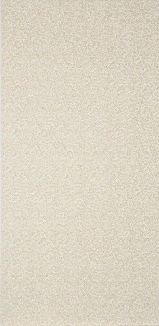 Обои — Braquenie — 
WALLPAPER VERMICULE Ochre — BP205002