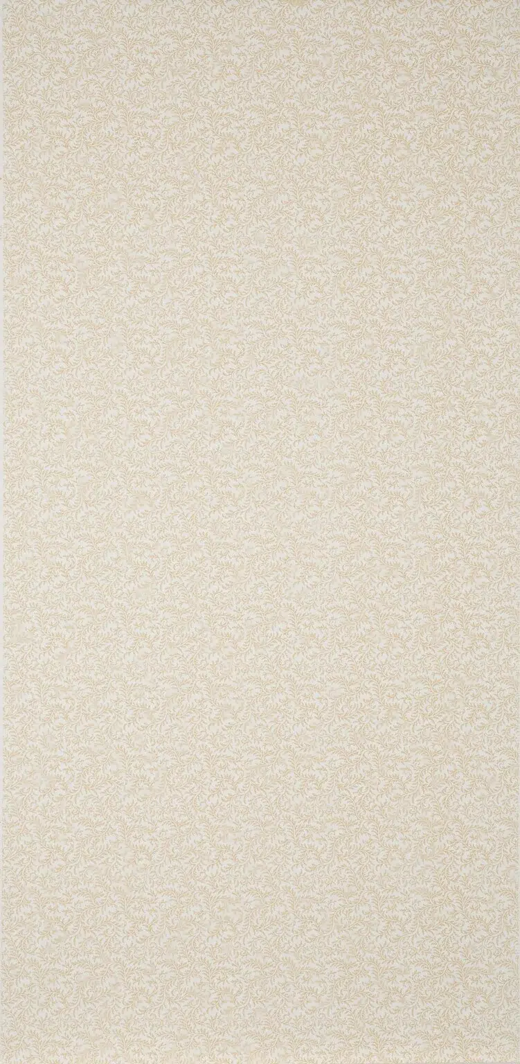 Обои — Braquenie — WALLPAPER VERMICULE Ochre — BP205002