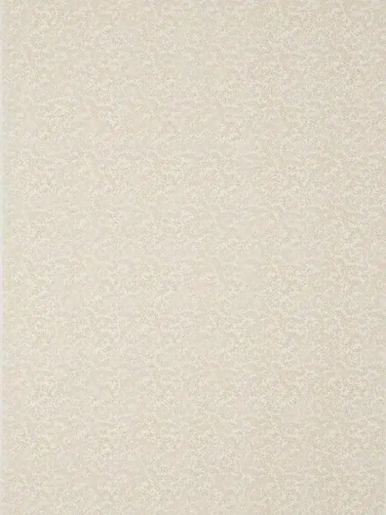 Обои - Braquenié - 
WALLPAPER VERMICULE Ochre - BP205002