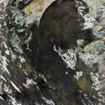 Обои - Pierre Frey - 
ECLIPSE Lune - FP998001