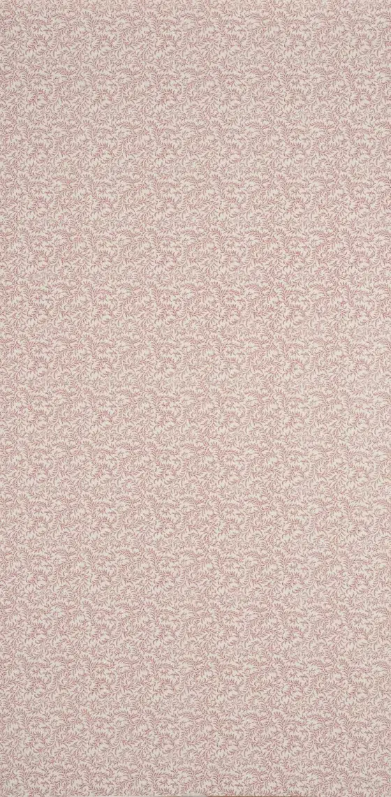 Обои — Braquenie — 
WALLPAPER VERMICULE Antique Red — BP205001