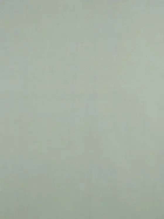 Обои - Pierre Frey -
NIMES Celadon - FP793022