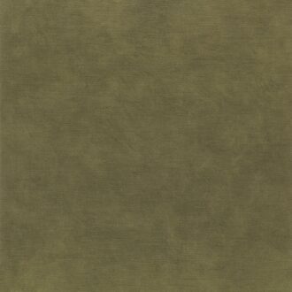 Обои - Casamance - Argile Kaki - B75496936