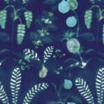 Обои - Nobilis - COSMOPOLITAN N°2 Daiquiri - COS162