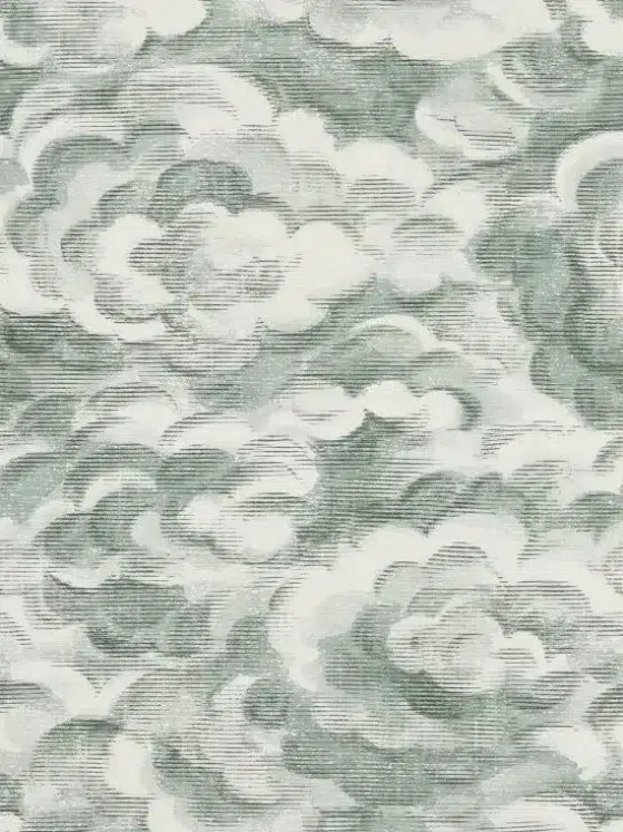 Обои - Pierre Frey -
CIEL REVE Celadon - FP846002