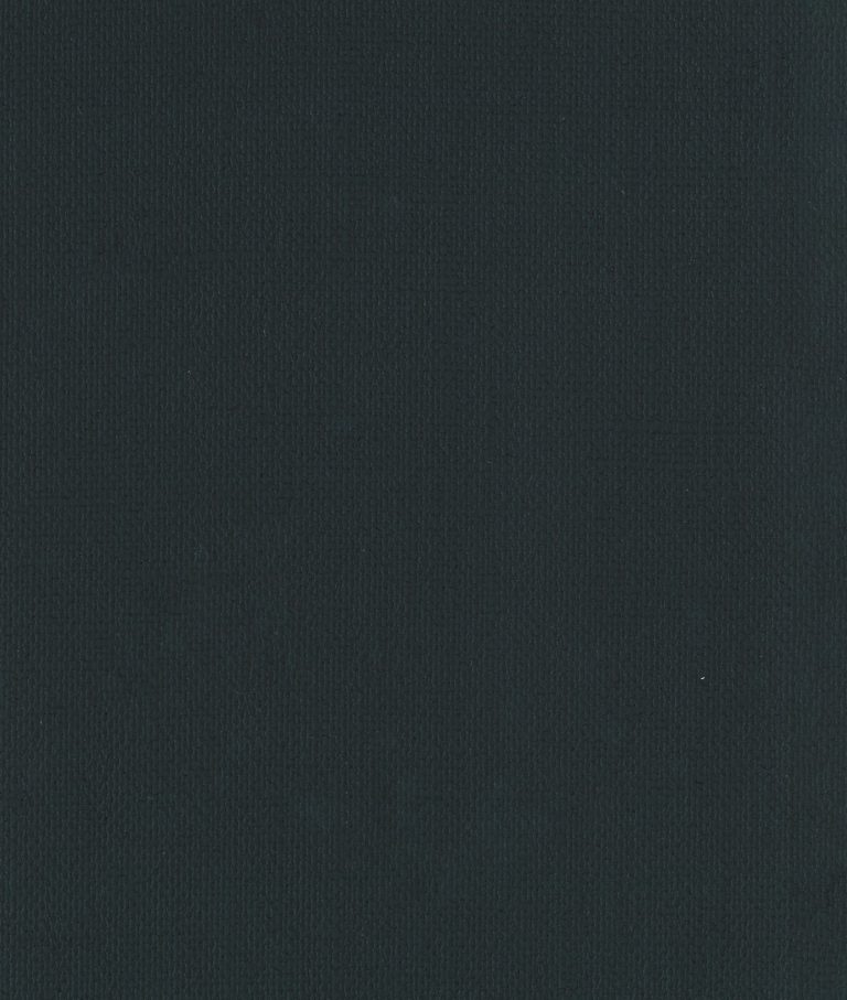 Обои — Dedar — Toile Bache Wall mousse — 02D2200700004