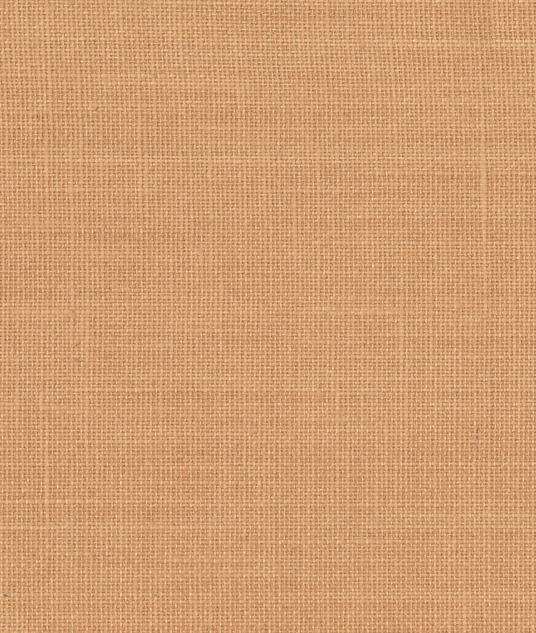 Обои — Dedar — Toile Bache Wall aurora — 02D2200701008