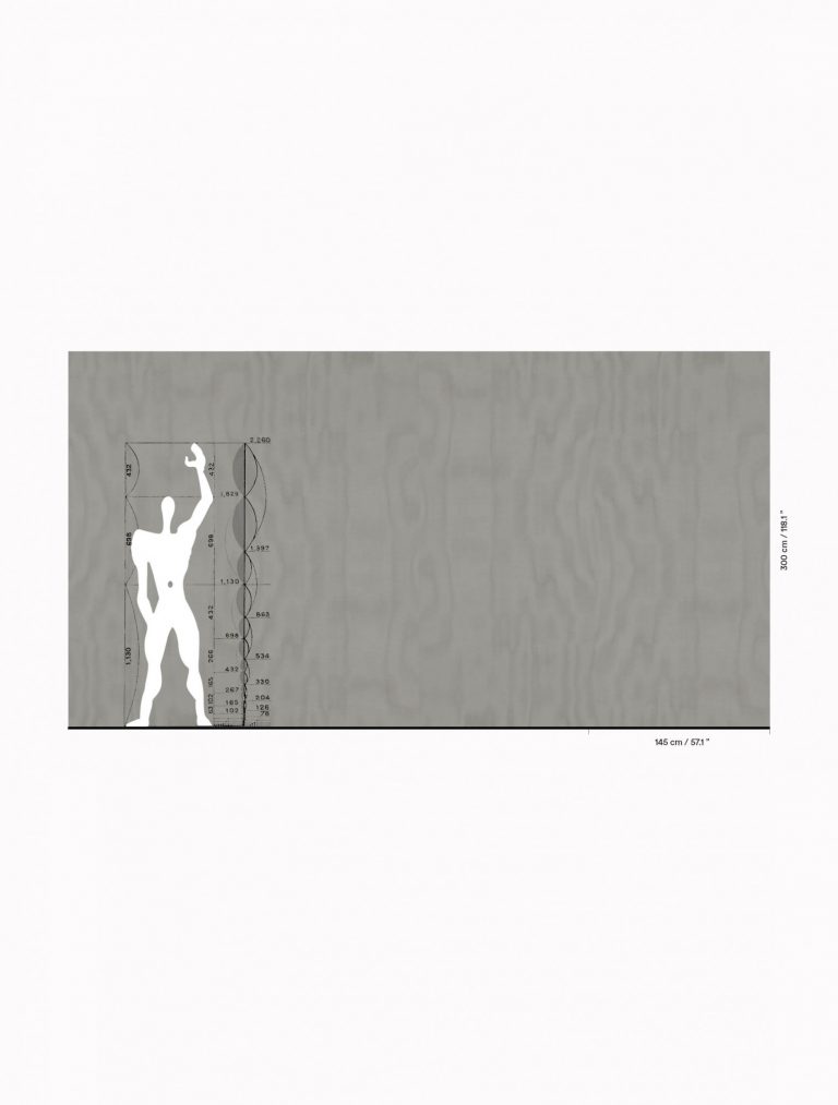 Обои — Dedar — Amoir Libre Wall argento — 02D2300700019