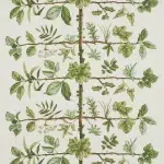 Обои — Pierre Frey — WALLPAPER ESPALIER Foin — FP169002