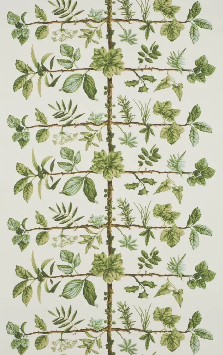 Обои — Pierre Frey — WALLPAPER ESPALIER Foin — FP169002