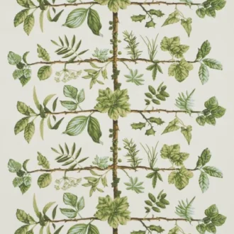 Обои - Pierre Frey - 
WALLPAPER ESPALIER Foin - FP169002