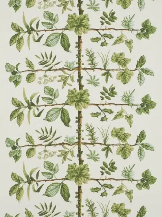 Обои - Pierre Frey - 
WALLPAPER ESPALIER Foin - FP169002