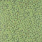 Обои — Pierre Frey — CEYLAN Jungle — FP069004