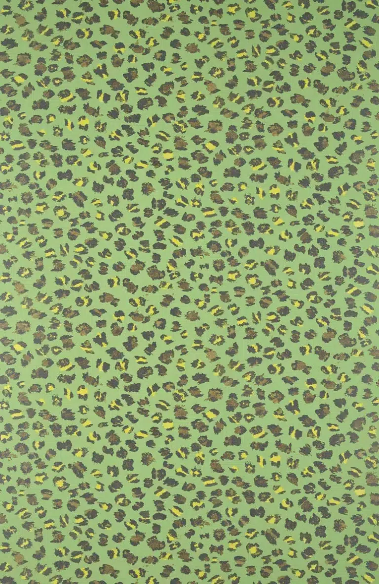 Обои — Pierre Frey — CEYLAN Jungle — FP069004