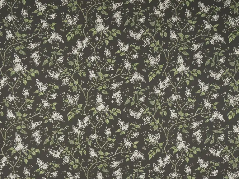 Обои — Braquenie — LES LILAS Terre — BP354004