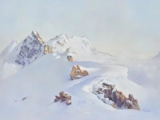 Обои - Pierre Frey -
MASSIF DU TITLIS Neige - FP908001