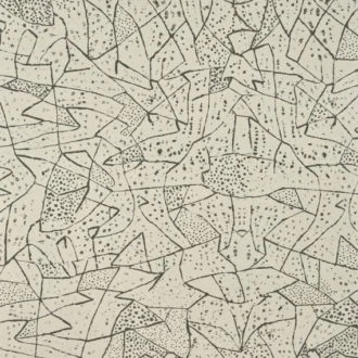 Обои - Pierre Frey -
TAPA Fusain - FP074002