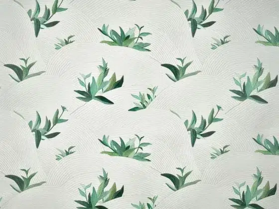 Обои - Pierre Frey - 
SALINAS VERDE Agave - FP961001