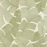 Обои — Pierre Frey — TIKEHAU Palmier — FP975003