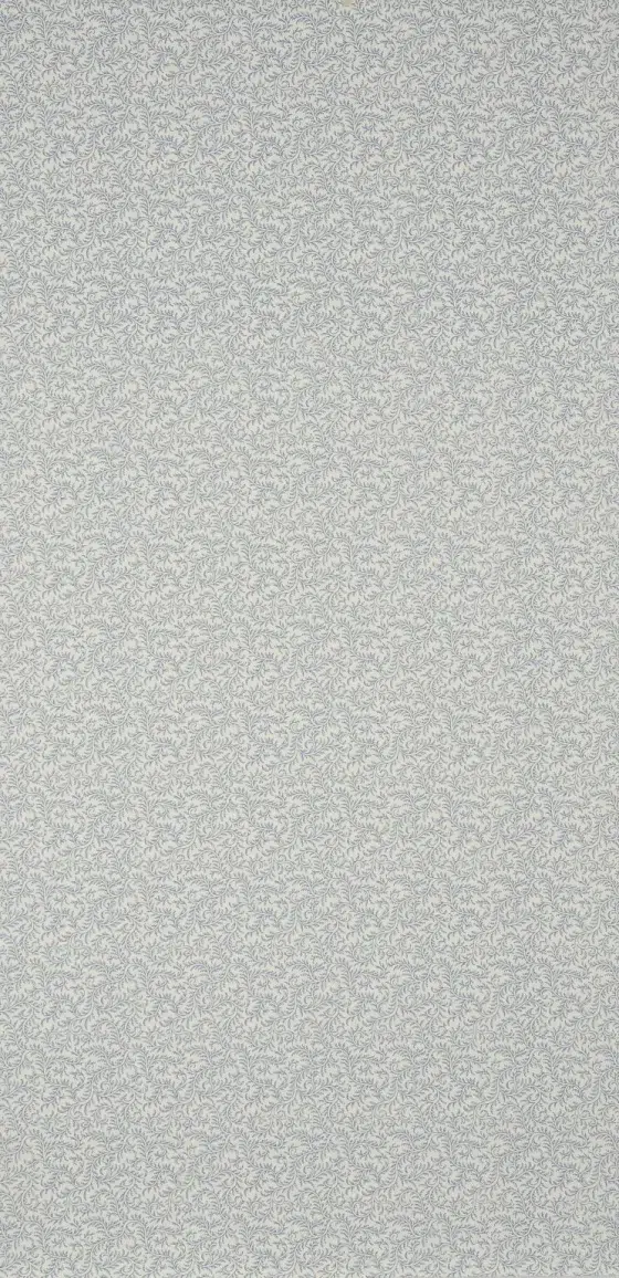 Обои — Braquenie — 
WALLPAPER VERMICULE Old Blue — BP205003