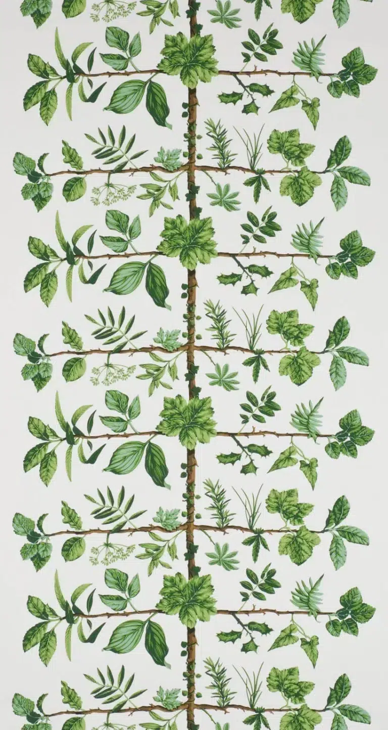 Обои — Pierre Frey — WALLPAPER ESPALIER Prairie — FP169001