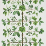 Обои - Pierre Frey - 
WALLPAPER ESPALIER Prairie - FP169001
